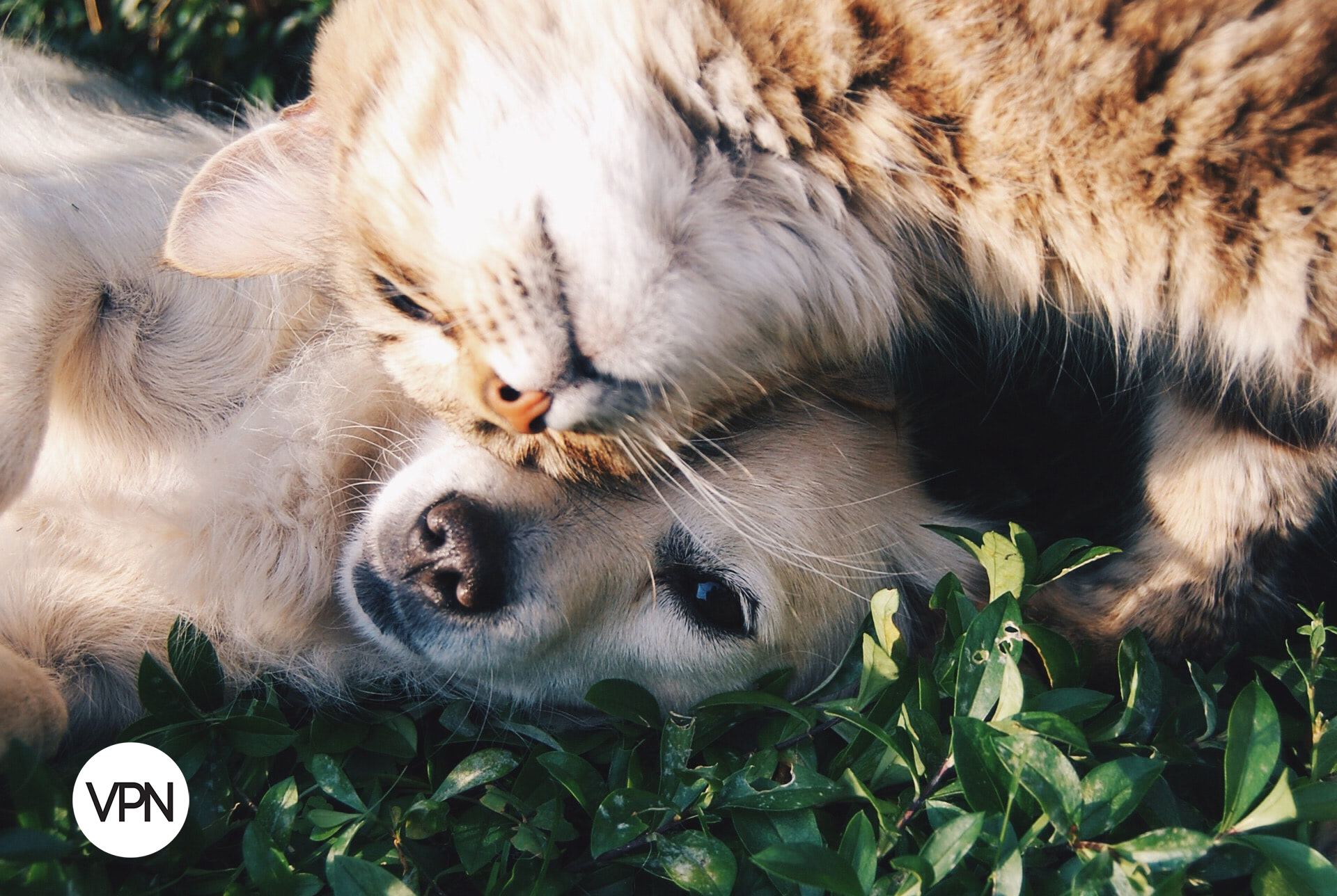 VPN Magazine, image size:1920x1288