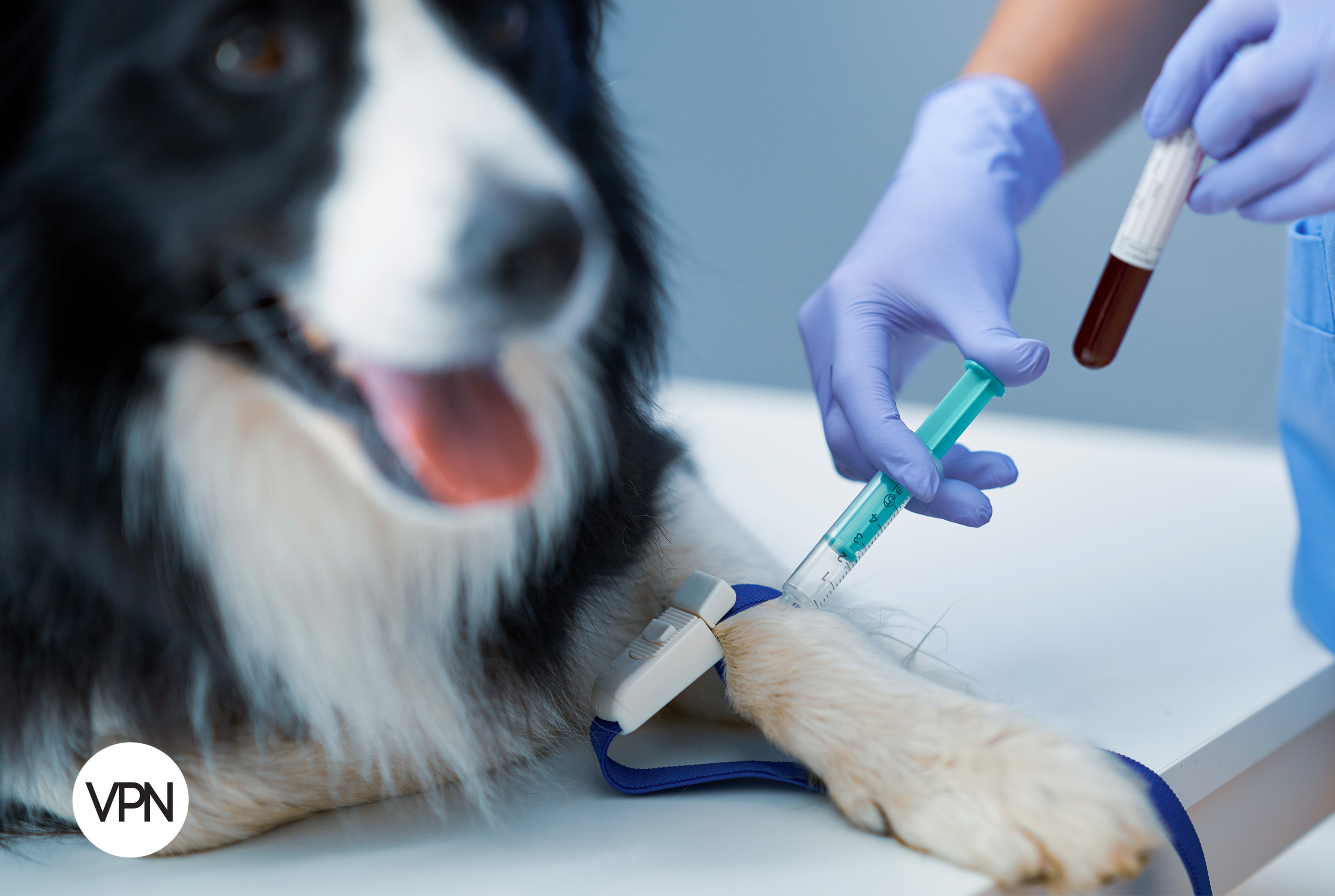 VPN Magazine, image size:2781x1866