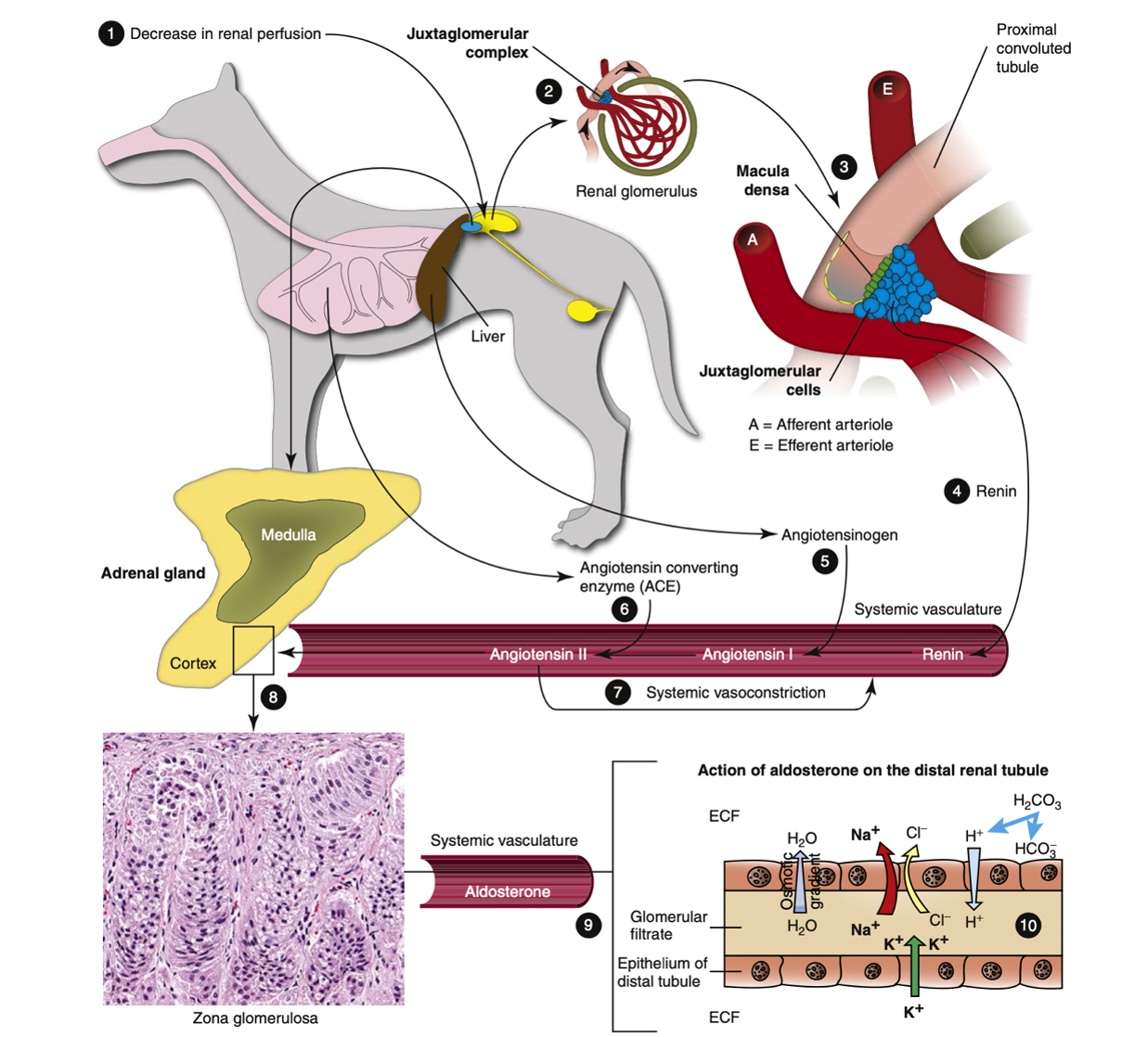 VPN Magazine, image size:1237x1118